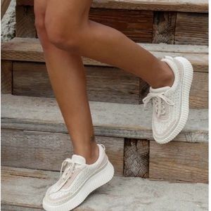 DOLCE VITA Dolen Platform Sneaker in Sandstone Knit Size US 9.5
